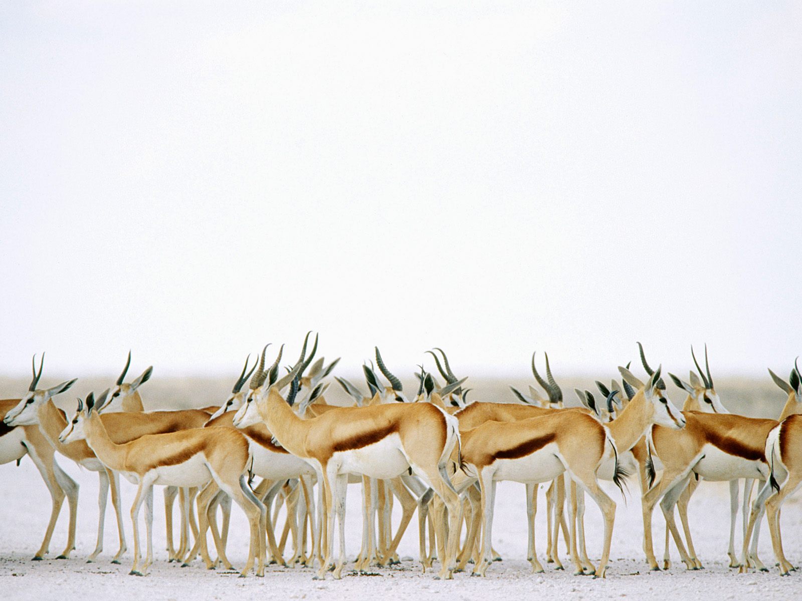 Новость экономики - № 22